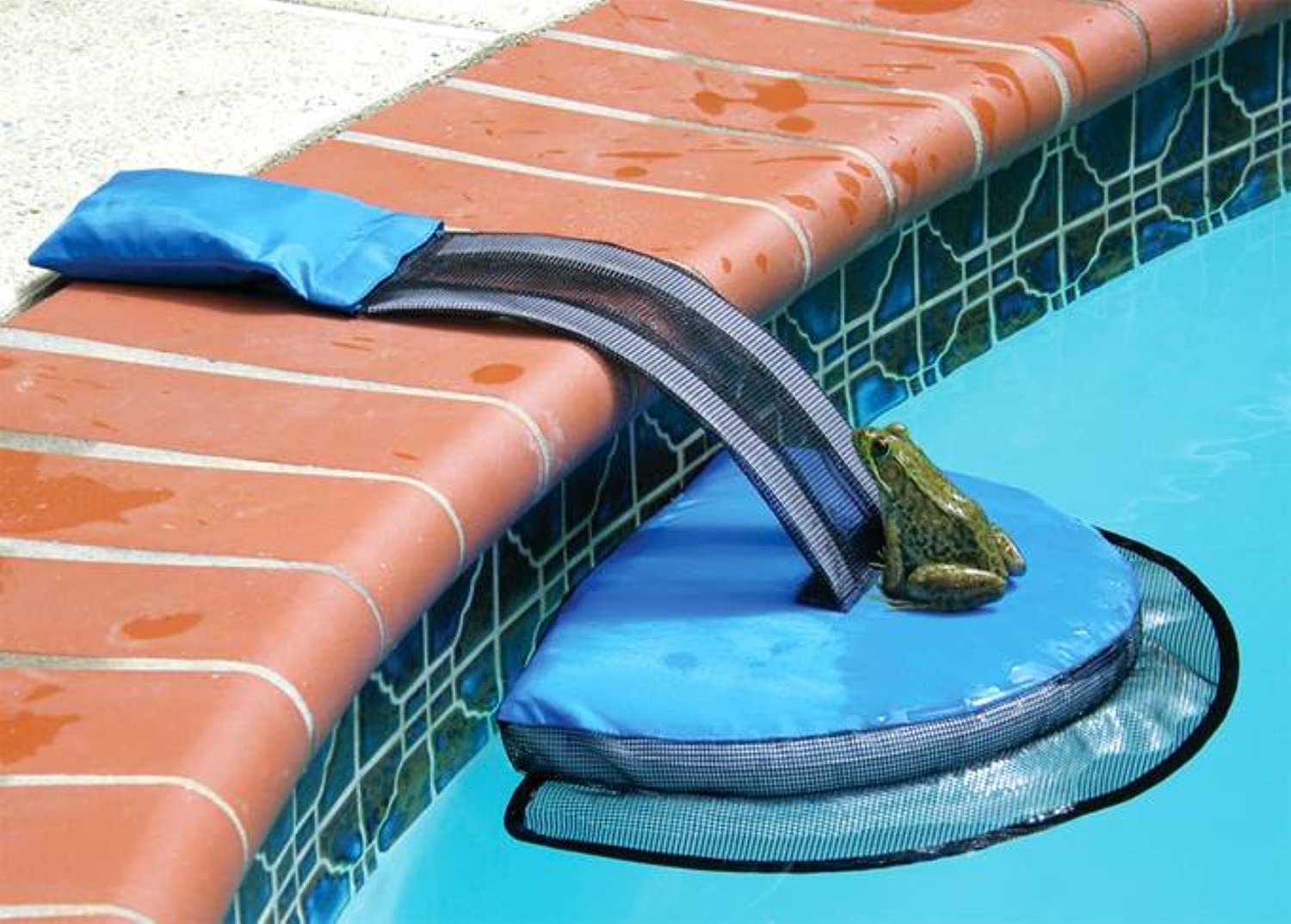 HYDROTOOLS BY SWIMLINE 70200 FrogLog Pool Escape Ramp for Small Animals - Heavy Duty Durable Material Saves Frogs, Mice & Wildlife - Reduces Maintenance for Inground Pools, Spas & Backyard Water Features