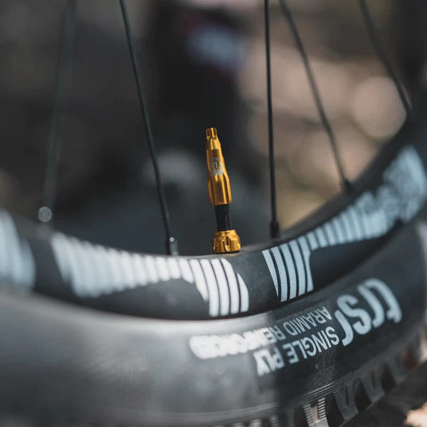Lezyne CNC TLR Valve - High Performance Bike Tire Valve for Road & Mountain Bikes | Perfect for Tubeless & Presta Valve Systems | Cycling, Racing & Commuting Accessories