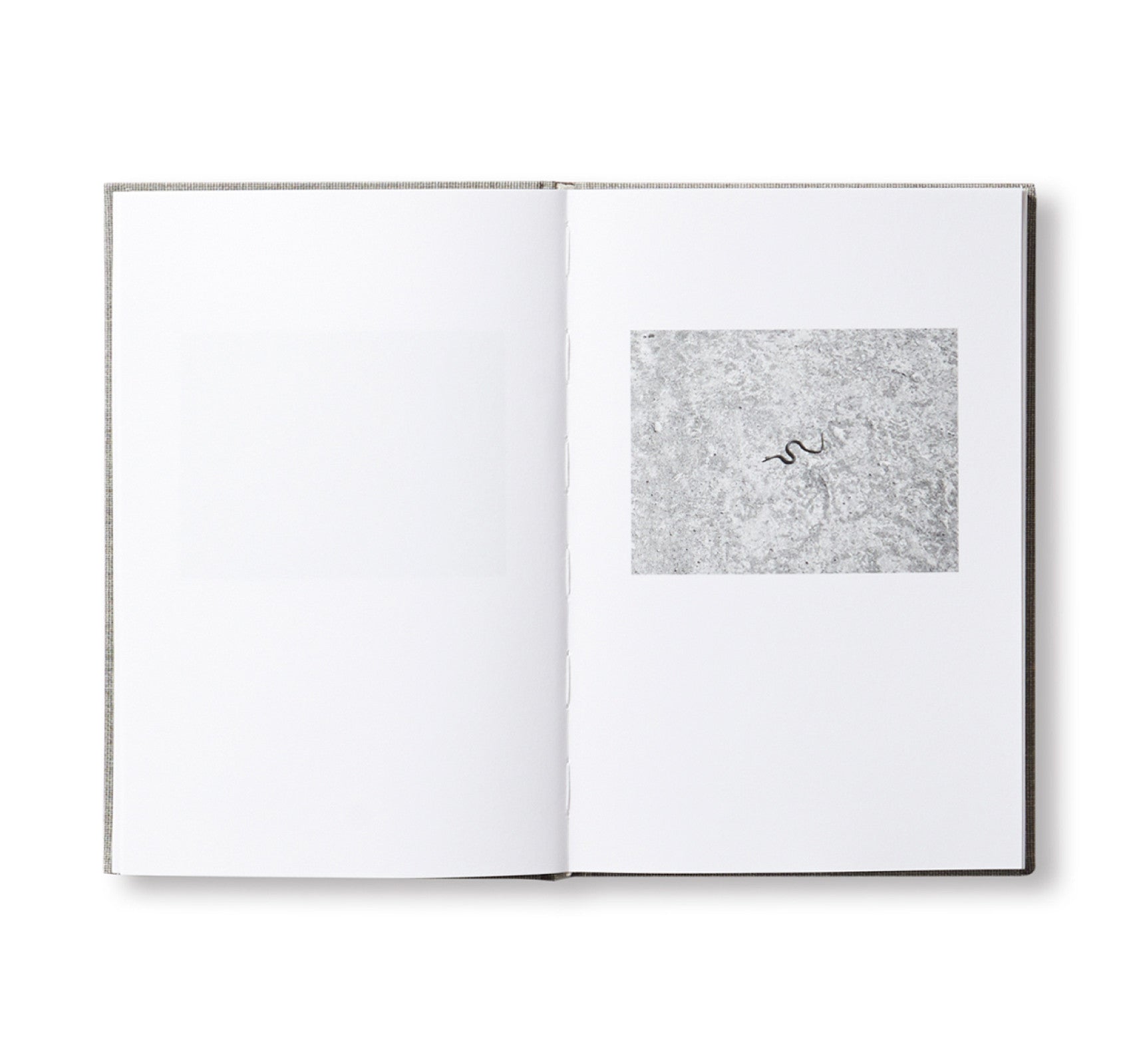 ANOTHER LANGUAGE by Mårten Lange - Special Edition Photography Book | Perfect for Art Collectors & Photography Enthusiasts