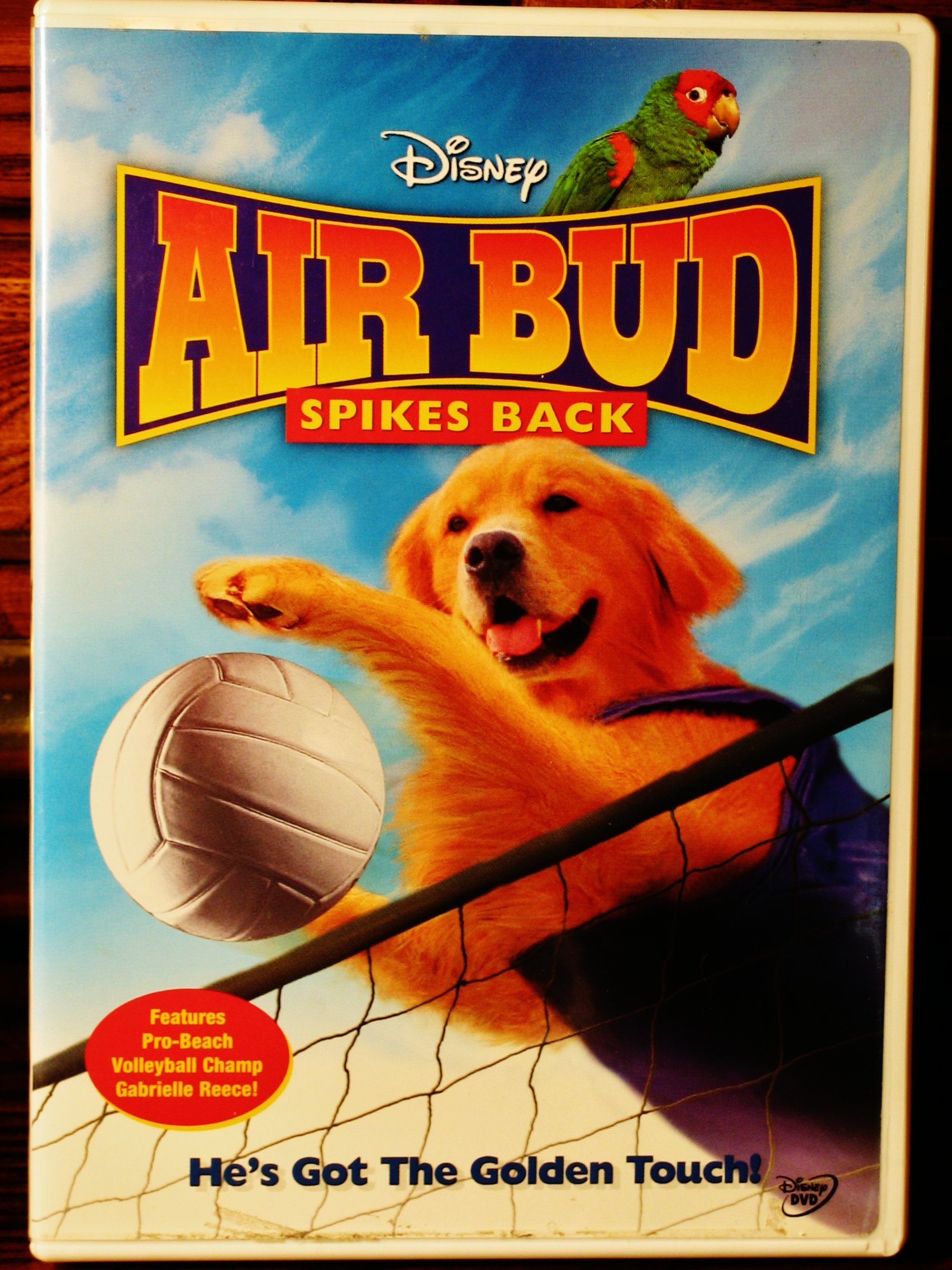 Air Bud Spikes Back - Premium Volleyball Training Shoes for Men & Women | Lightweight & Durable for Indoor & Outdoor Courts | Perfect for Volleyball, Basketball & Gym Workouts