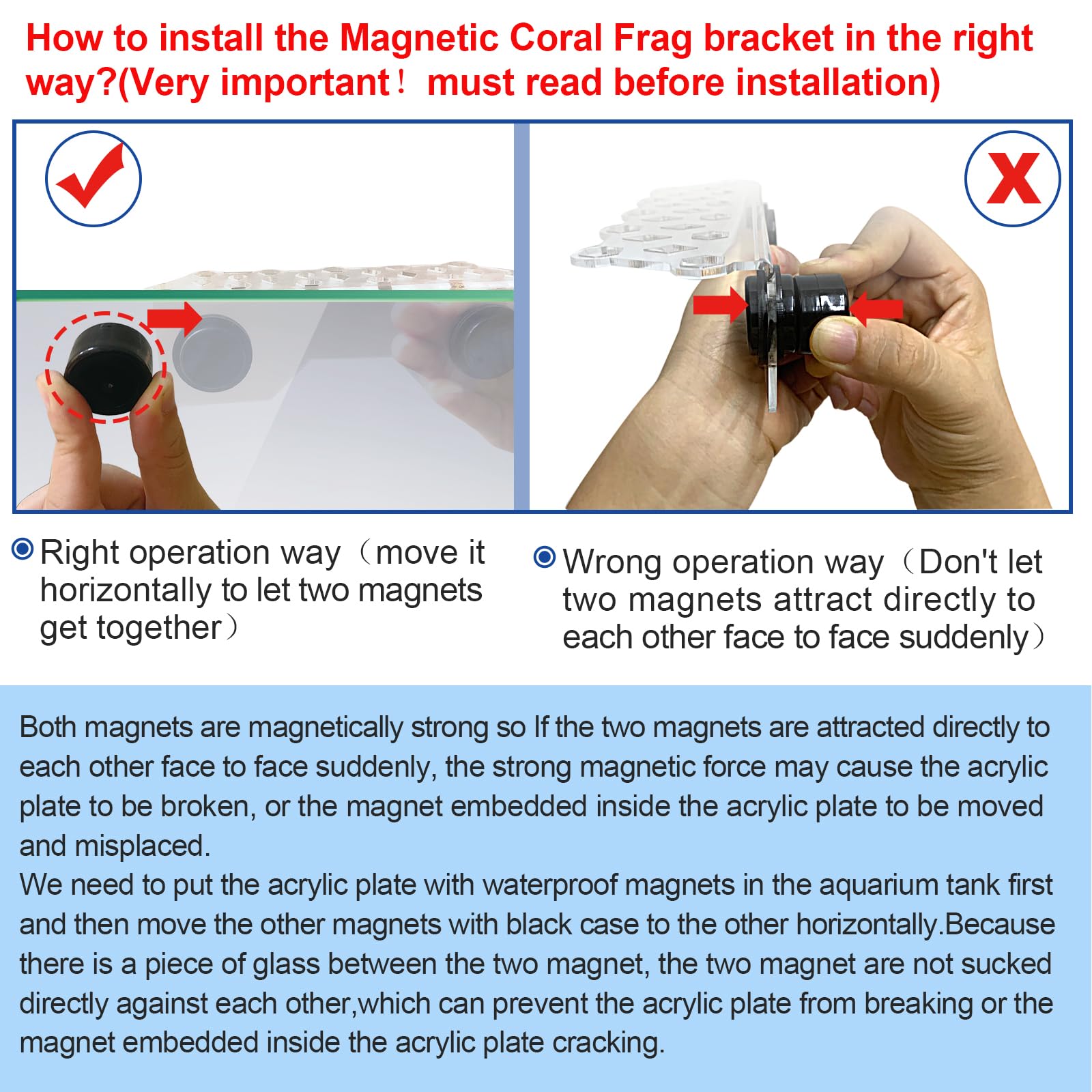 Aquarium Coral Frag Rack Magnetic Holder - 11 Coral Plug Reef Magnets for Saltwater Tanks | Perfect for Coral Propagation, Frag Displays & Reef Aquarium Maintenance