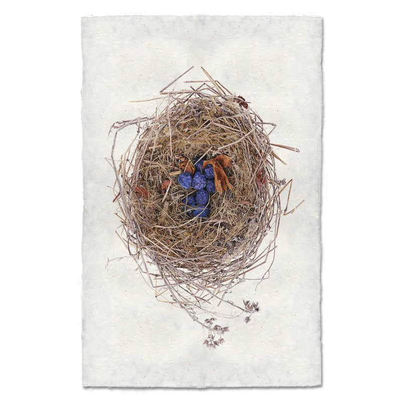 Blueberry Bird Nest Art Print - Handmade Nature Wall Decor for Living Room, Bedroom & Office - Perfect for Home & Office Decor