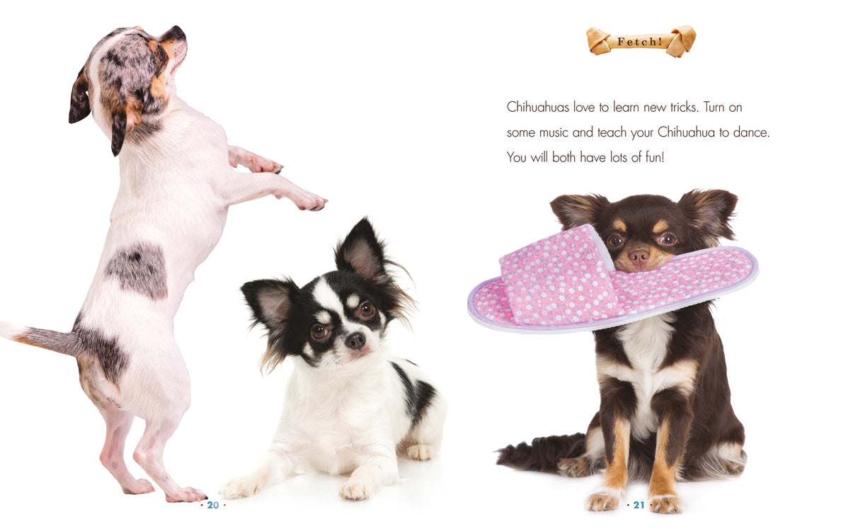 Chihuahuas Book - ISBN 9781608188987 - Perfect for Dog Lovers & Breed Enthusiasts