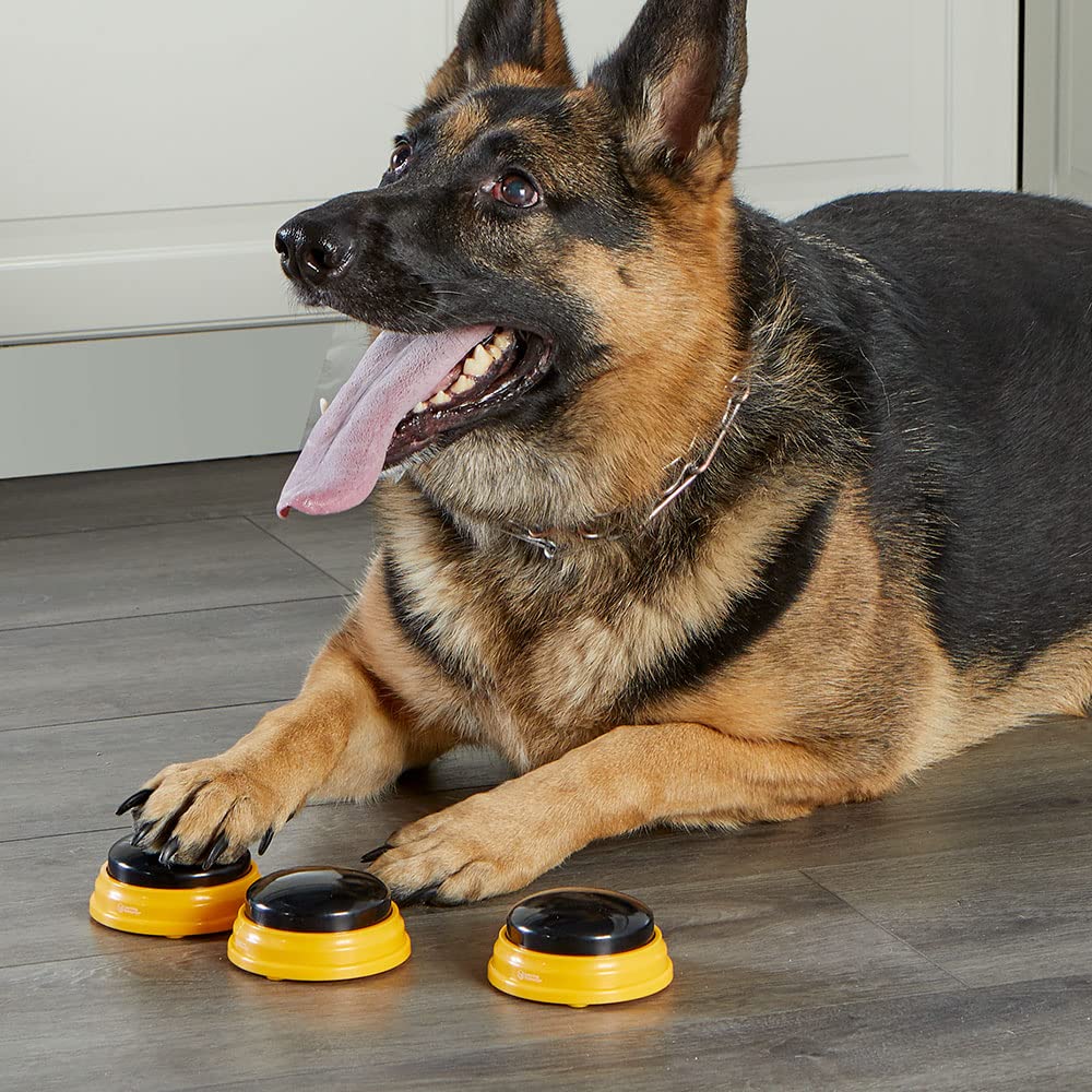 Hunger For Words Talking Pet Buttons - 3 Piece Set of Recordable Speech Buttons for Dog Training & Communication | Teach Your Dog to Talk | Perfect for Interactive Play, Obedience Training & Bonding Activities