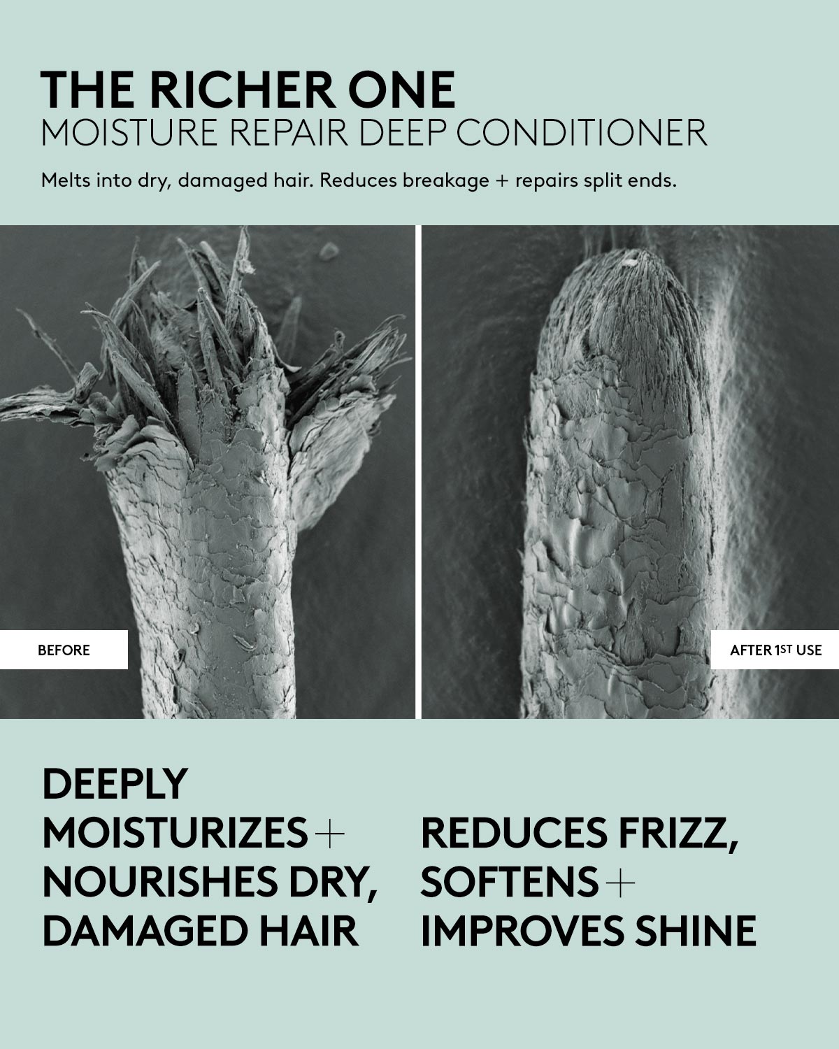 The Richer One Moisture Repair Deep Conditioner for Damaged Hair - Intense Hydration & Repair Treatment for Dry, Frizzy Hair - Perfect for Salon-Quality Hair Care at Home