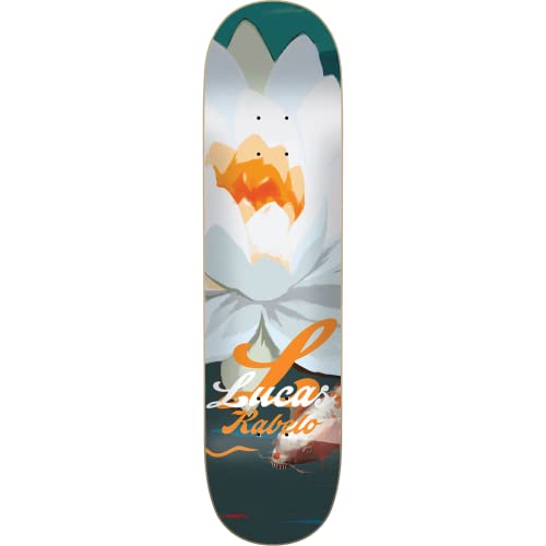 Lucas Rabelo Flower Power