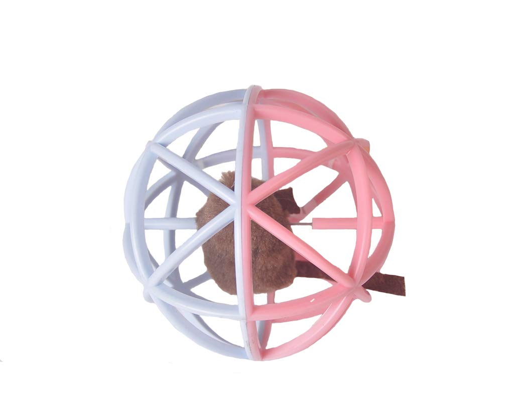 ALBOLET Interactive Cat Toy Ball with Squeaky Mouse - Fun Cage Ball for Cats to Chase & Play - Indoor Pet Exercise & Entertainment for Kittens & Adult Cats