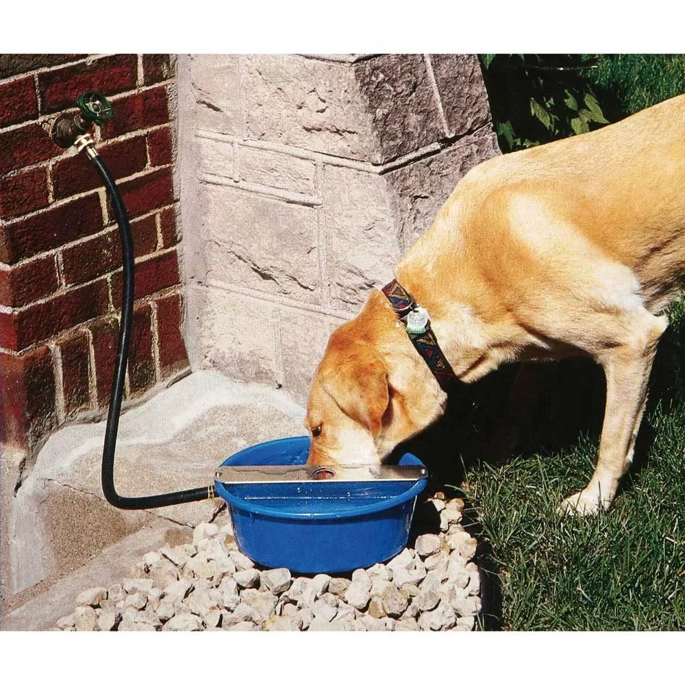 Ever Full Bowl - Non-Slip Pet Food Bowl for Dogs and Cats - Perfect for Messy Eaters at Home or Travel