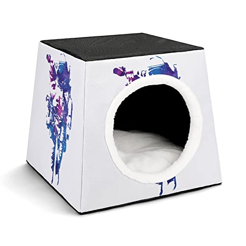 Color6