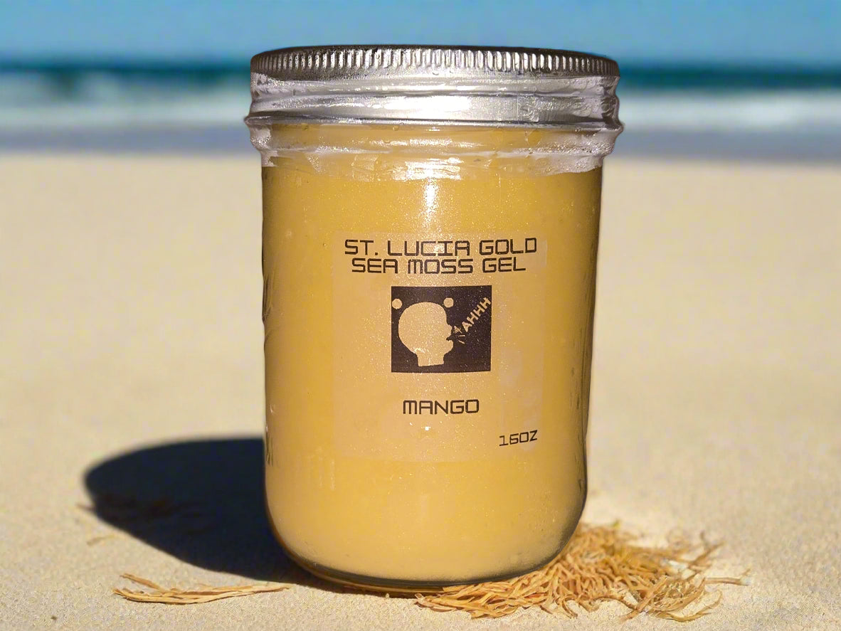 Organic St. Lucia Gold Sea Moss Gel - 16oz & 45oz Jar | Wildcrafted Irish Moss Superfood Supplement for Immune Support, Digestion & Skin Health | Perfect for Smoothies, Teas & DIY Beauty Recipes