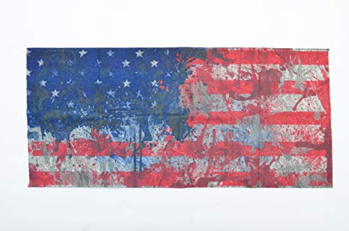 Painted Us Flag S15