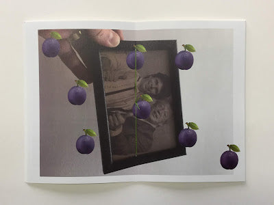 Shaking Plums - Premium Dried Plums Snack for Healthy Eating | Perfect for On-the-Go, Office Snacks & Healthy Lifestyle