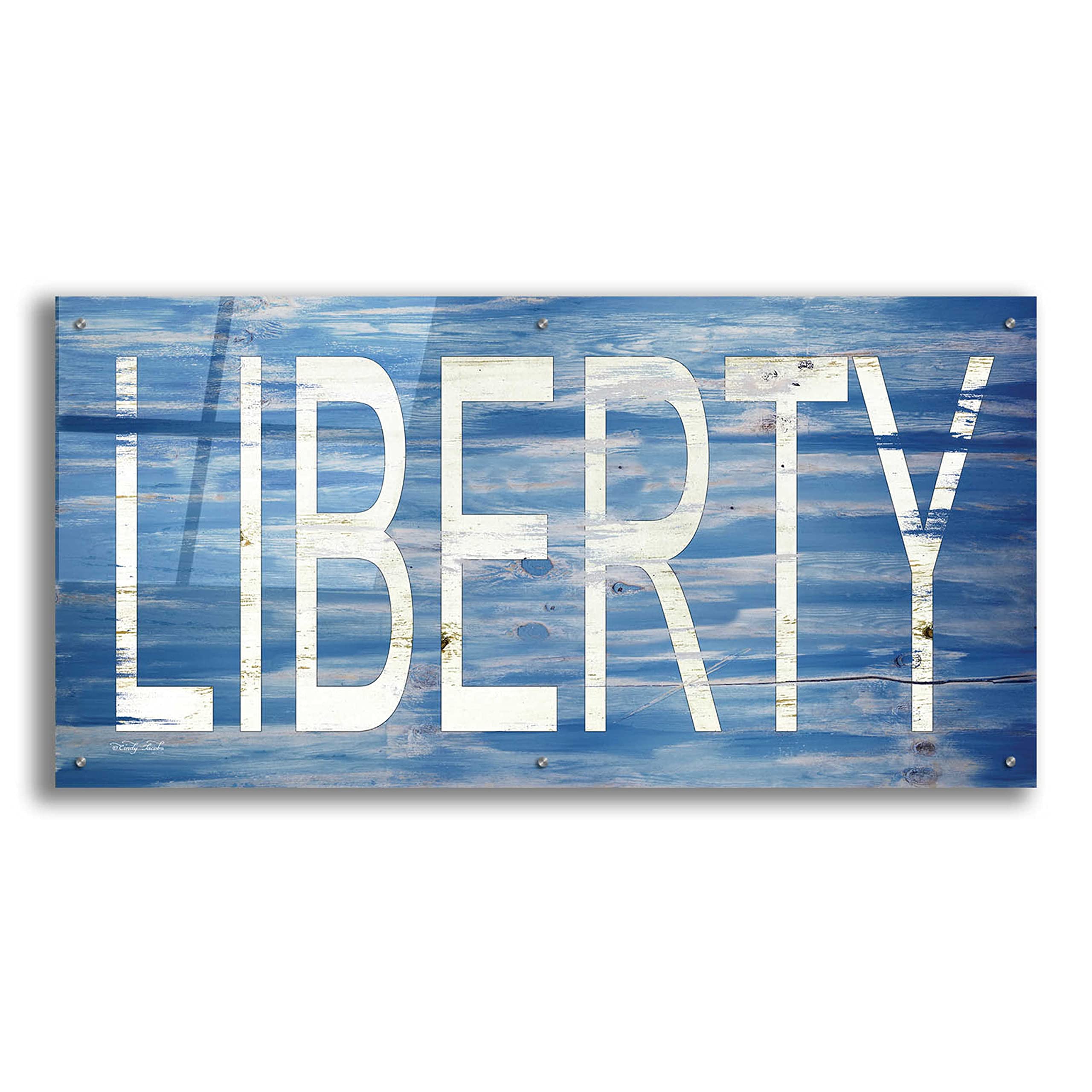Epic 'Liberty' Acrylic Glass Wall Art by Cindy Jacobs - 48x24 Inches Modern Canvas Painting for Living Room, Office & Bedroom Decor