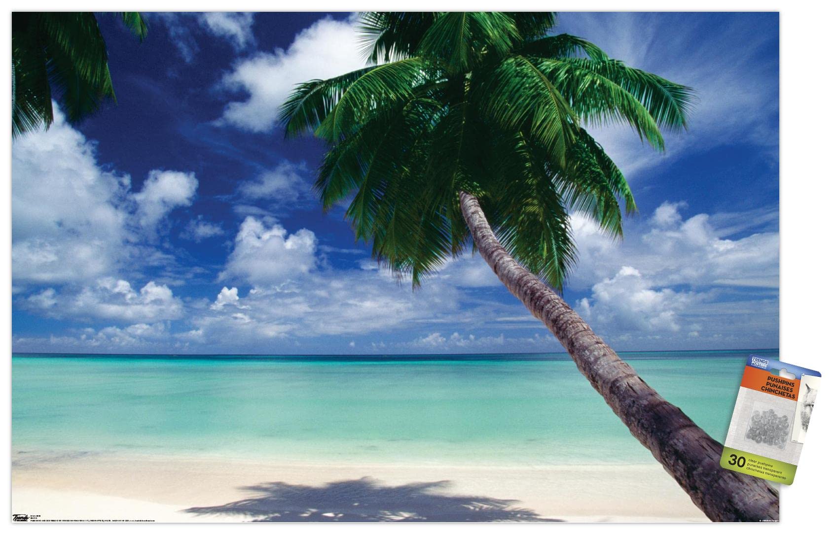 Stunning Beach View Wall Poster with Push Pins - Perfect for Home, Office & Dorm Decor - Coastal Themed Wall Art for Living Room, Bedroom or Workspace