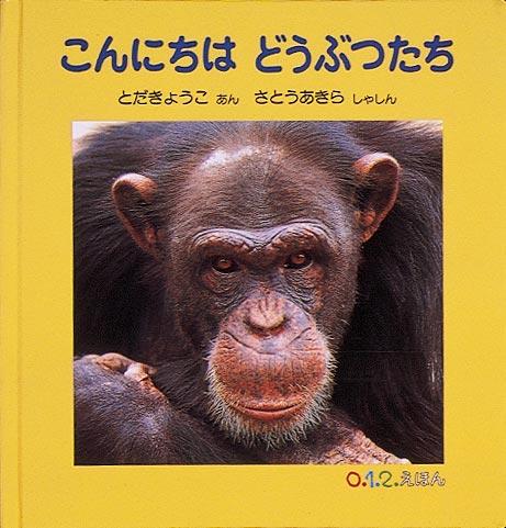 Kon'nichiwa Dōzutsu Tachi - Japanese Greeting Cards for Friends & Family | Perfect for Birthdays, Holidays & Special Occasions