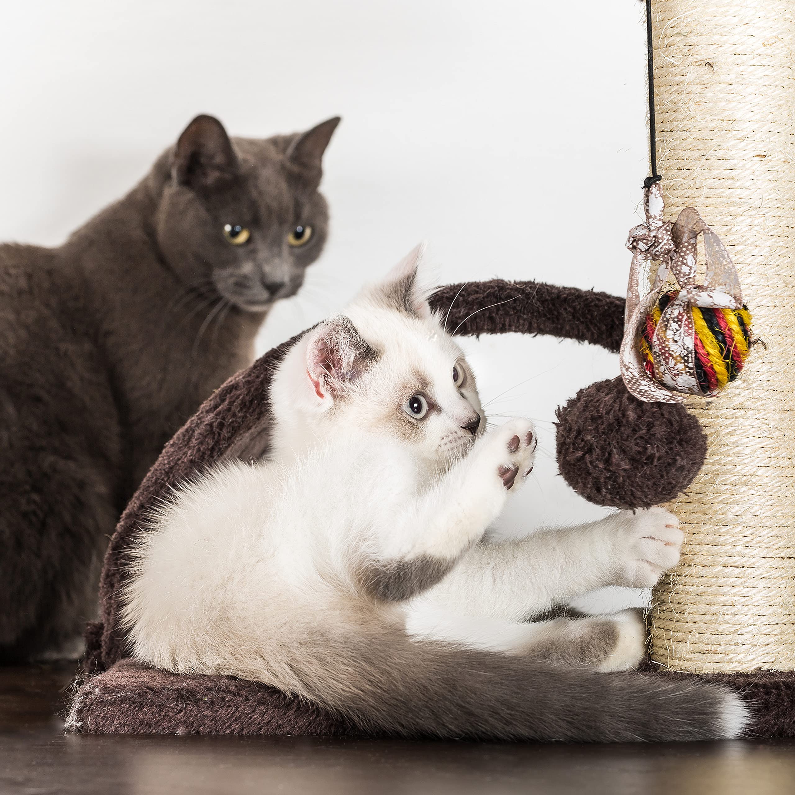 5-Tier Ultimate Cat Tree for Multiple Cats - 8 Scratching Posts, 2 Padded Perches, 2 Kitty Condos & 3 Hanging Toys - Large Sturdy Cat Tower with Hammock & Hideouts - Perfect for Indoor Cats Play, Climb & Nap (Dark Gray)
