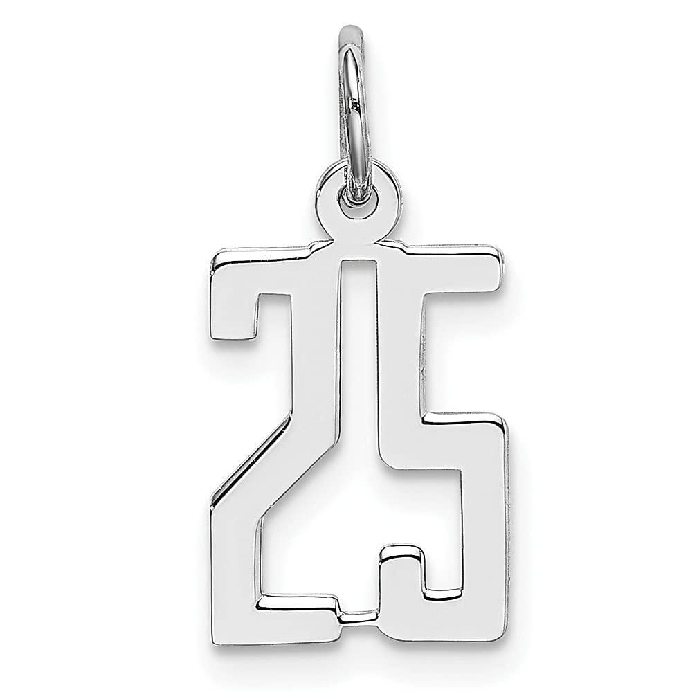 925 Sterling Silver Number 25 Charm Necklace - Elegant Jewelry Gift for Women - Birthday & Anniversary
