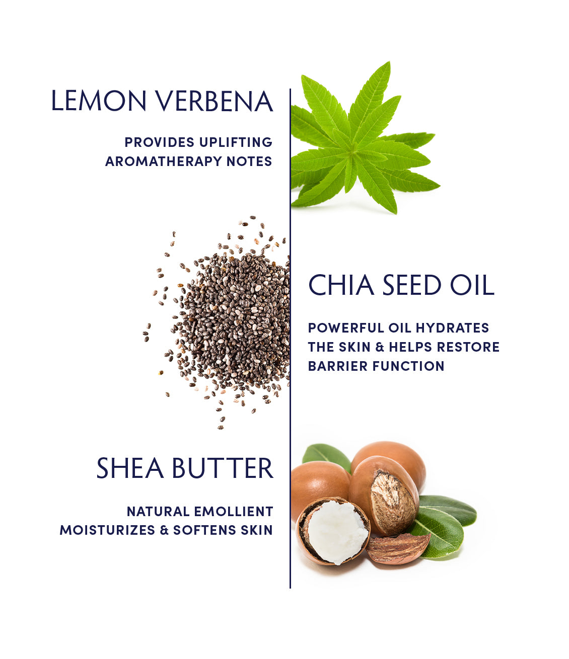 Lemon Verbena Omega 3 Calming Hand Cream - Moisturizing & Soothing Dry Skin - Perfect for Stress Relief & Nighttime Relaxation