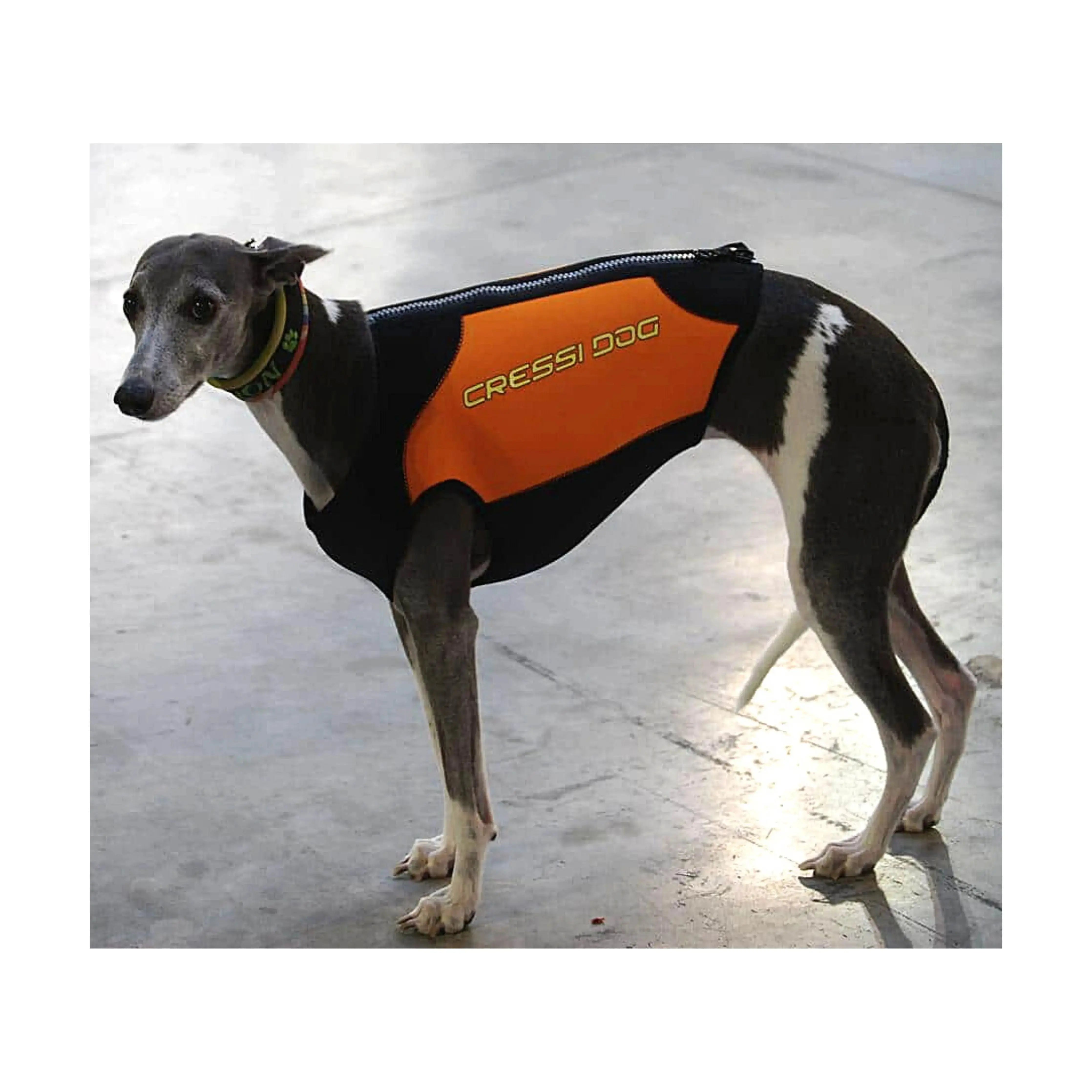Cressi Dog Wetsuit for Large Breeds - Waterproof & Durable Neoprene Suit for Swimming, Surfing & Outdoor Water Activities