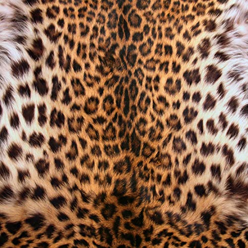 Mirrored Leopard Hide
