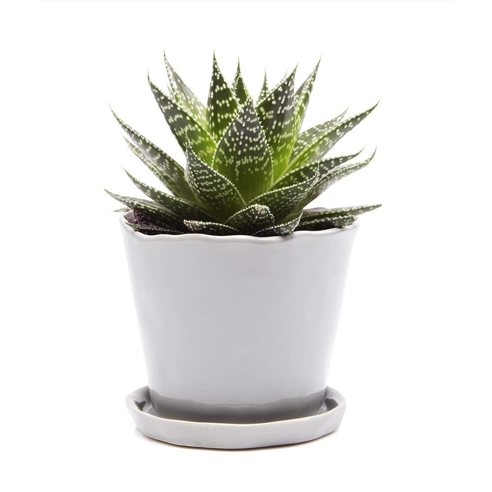 CHIVE ‘Tika’ 5 Inch Large Succulent Planter Pot - Modern Grey Indoor Plant Container for Home & Kitchen Decor - Perfect for Windowsills, Office Desks, and Gift Giving