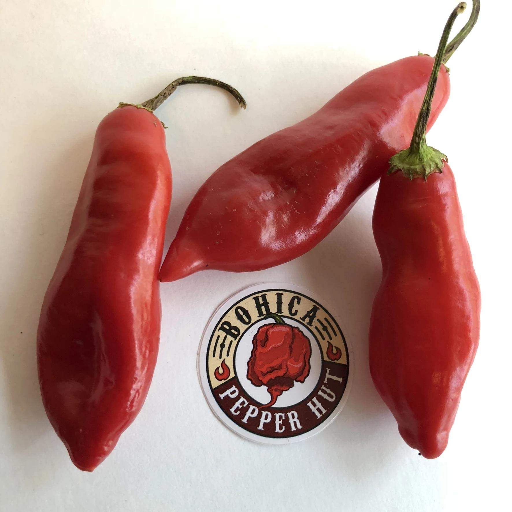 Aji Sugar Rush Red Pepper Seeds - Non-GMO, Heirloom, Hot Chili Seeds for Home Gardening, Cooking & Salsa Making