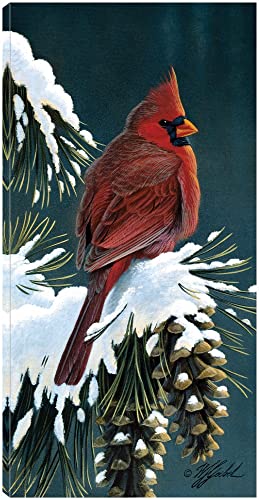 Winter Cardinal