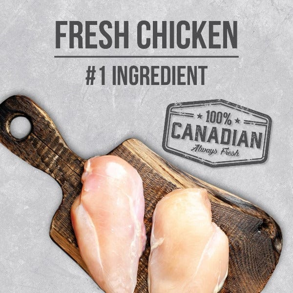 Nutrience Infusion Healthy Adult Chicken Recipe Dry Cat Food - 2.27kg (5lb) High Protein Grain-Free Kibble for Indoor & Outdoor Cats - Perfect for Daily Meals & Weight Management