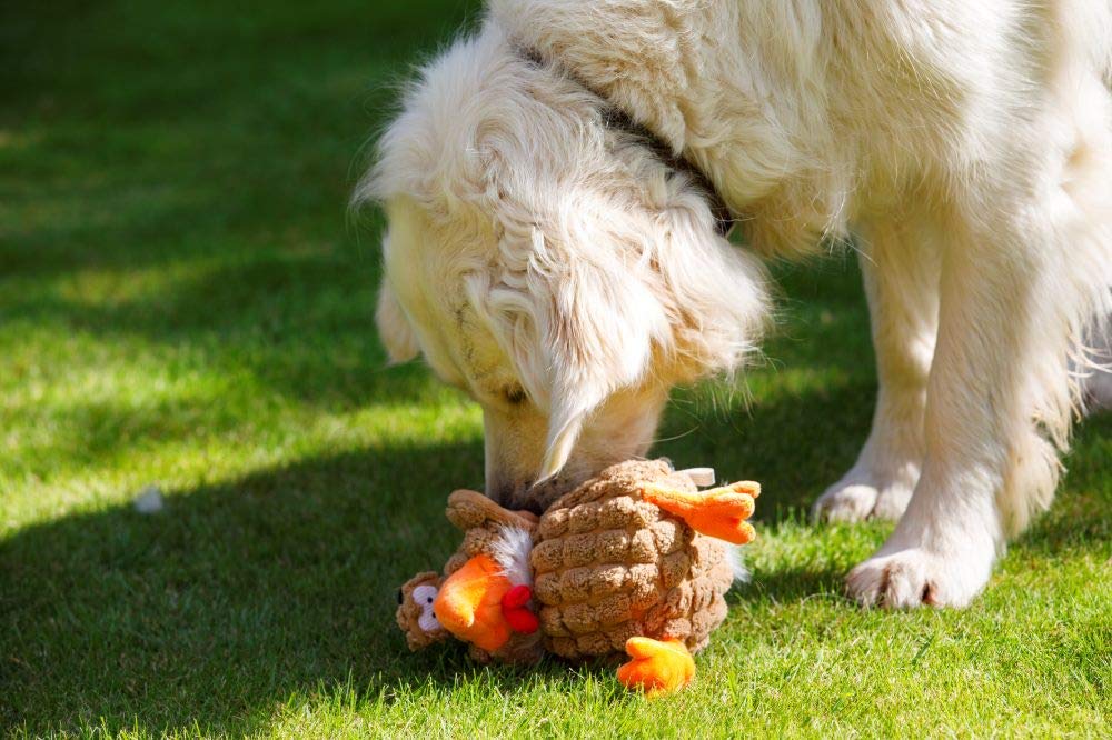 Farmyard Buddies Durable Chunky Chicken Dog Toy - Interactive Chew Toy for Small & Medium Dogs, Perfect for Playtime & Training