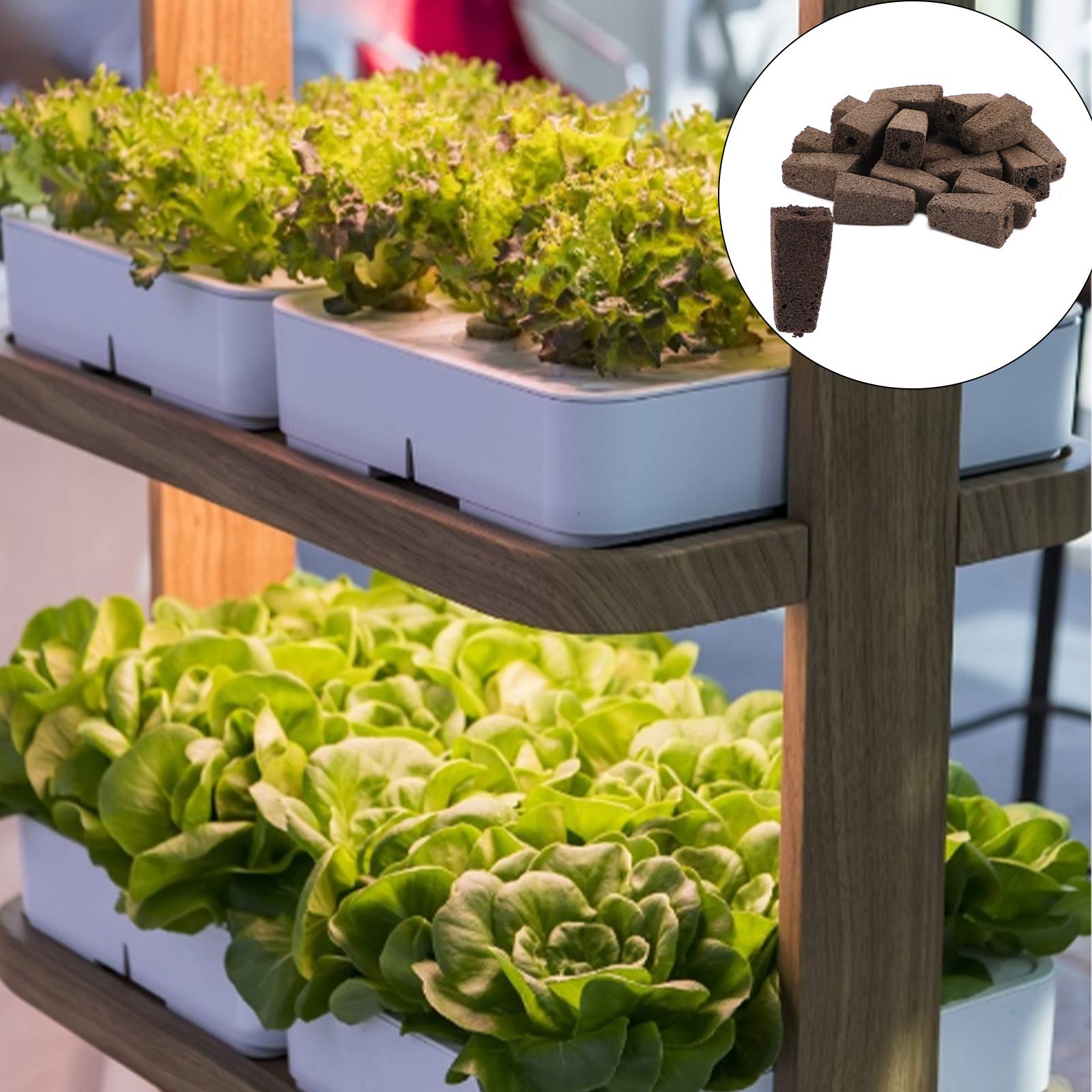 LUTER 20Pcs Hydroponic Grow Sponges - Seed Starter Plugs for Root Growth, Compatible with Seed Pods | Indoor Hydroponic System for Herbs, Vegetables & Microgreens