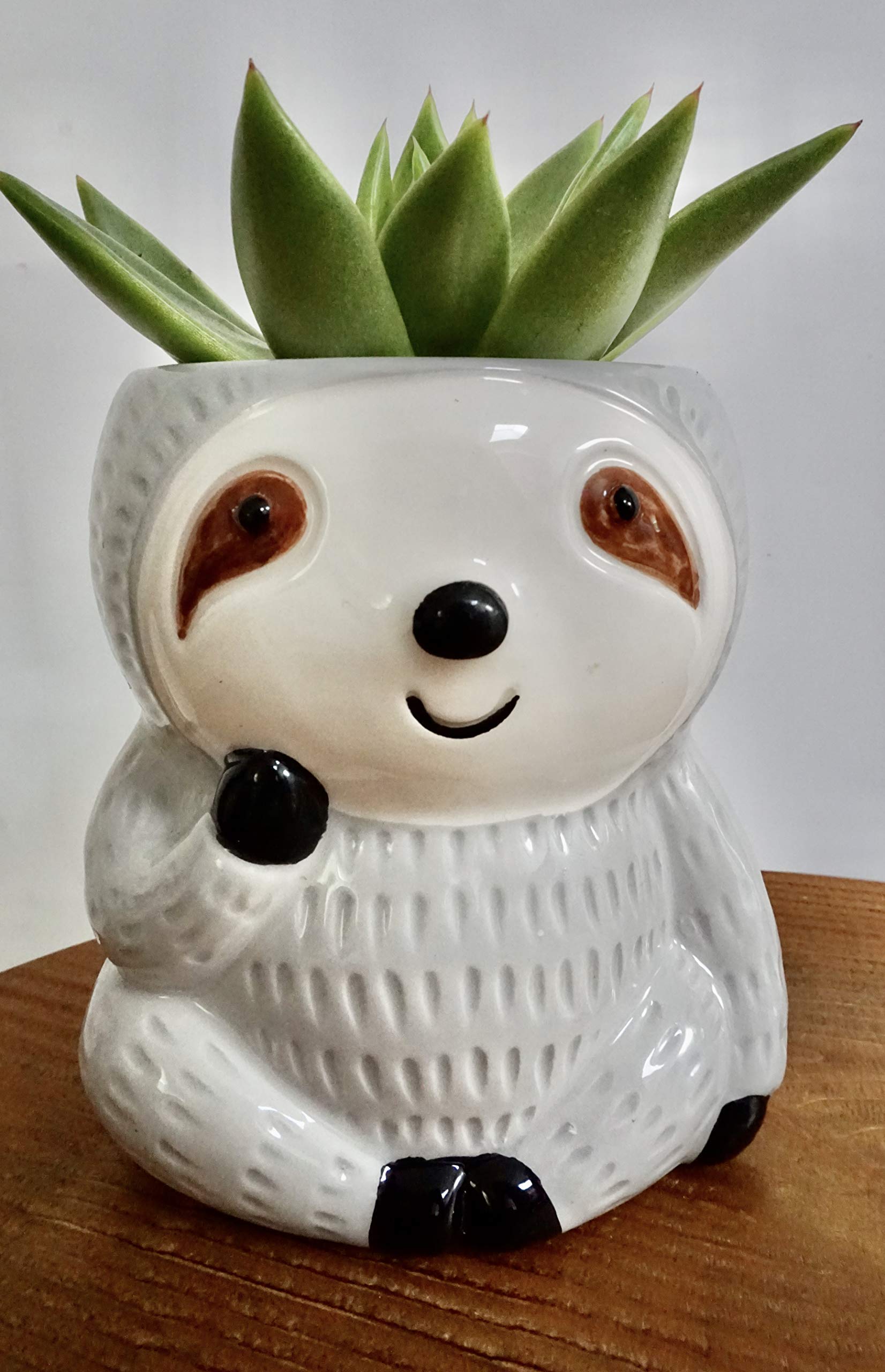 Cute Sloth Planter Pot - Animal Shaped Container for Succulents, Air Plants & Flowers | Perfect Hostess Gift & Unique Indoor Decor for Home, Office, or Garden | Fun Sloth-Themed Head Planter for Plant Lovers