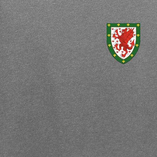 Wales Soccer Retro National Team Graphic Tee for Men - Vintage Football Jersey Style T-Shirt - Perfect for Match Days, Fan Events & Casual Wear