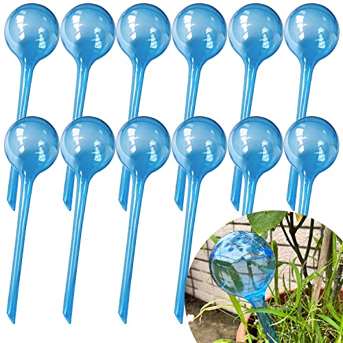 F. Blue-12pcs Large