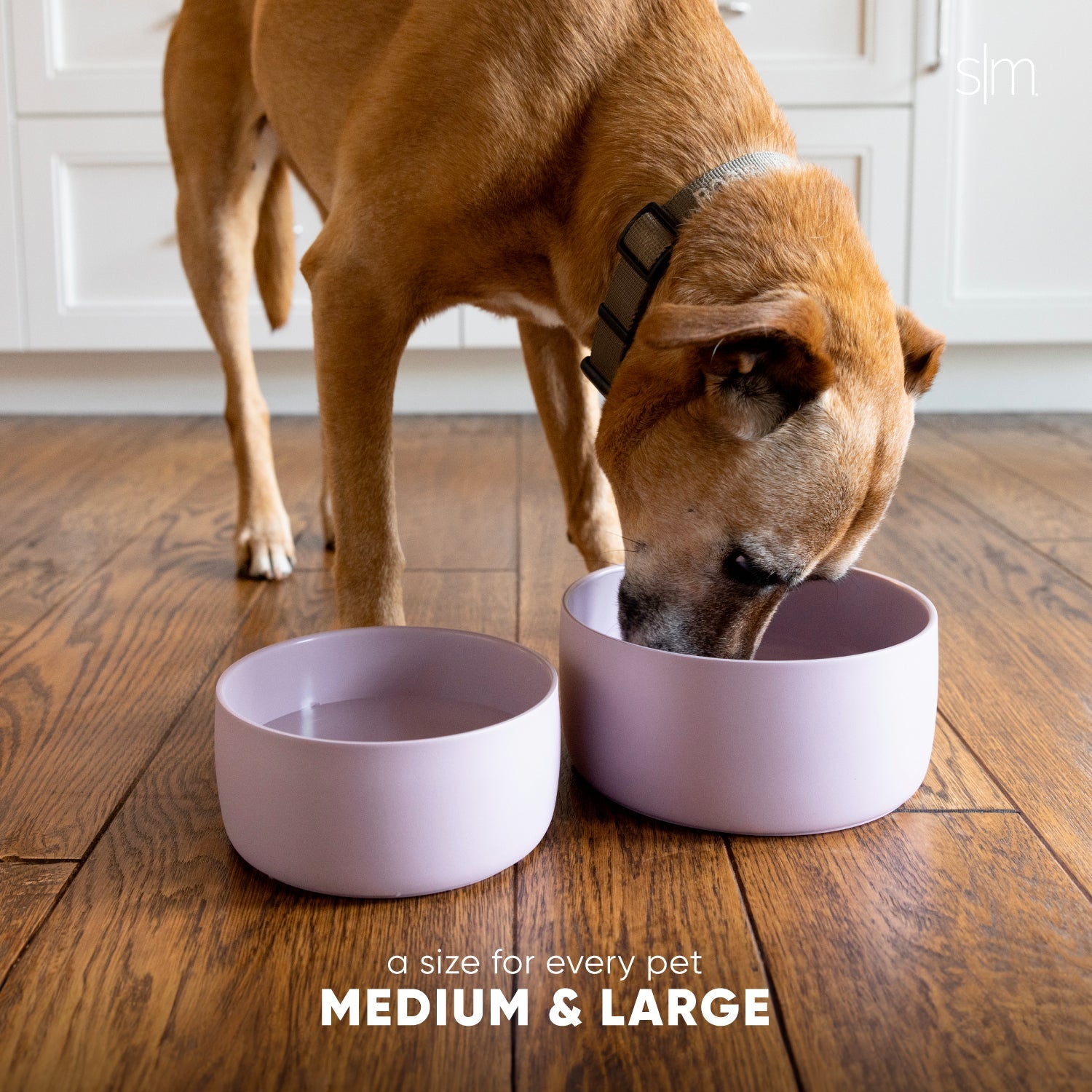 Premium Stainless Steel Bentley Pet Bowl - Non-Slip Raised Dog & Cat Food Dish with Anti-Spill Design - Perfect for Home, Travel & Outdoor Use