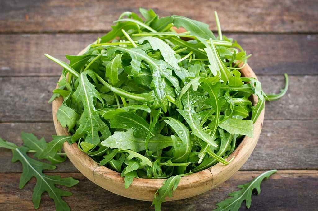 Organic Arugula Seeds - Non-GMO, Fast-Growing (20 Days) - Duckweed & Broadleaf Salad Greens for Planting - Perfect for Home Gardens, Microgreens & Healthy Salads