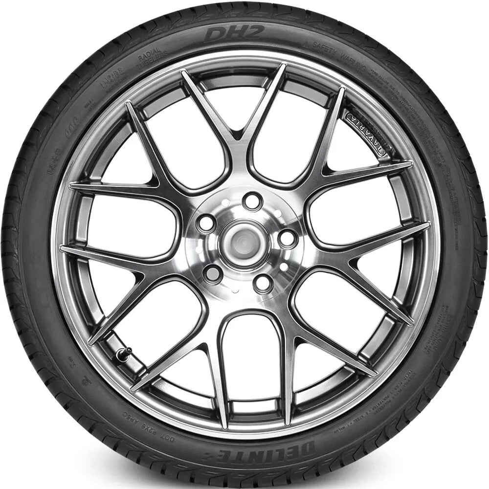 Delinte DH2 175/65R14 82H All-Season Performance Tires - Reliable Grip for Sedans, Coupes & Compact Cars in Wet & Dry Conditions
