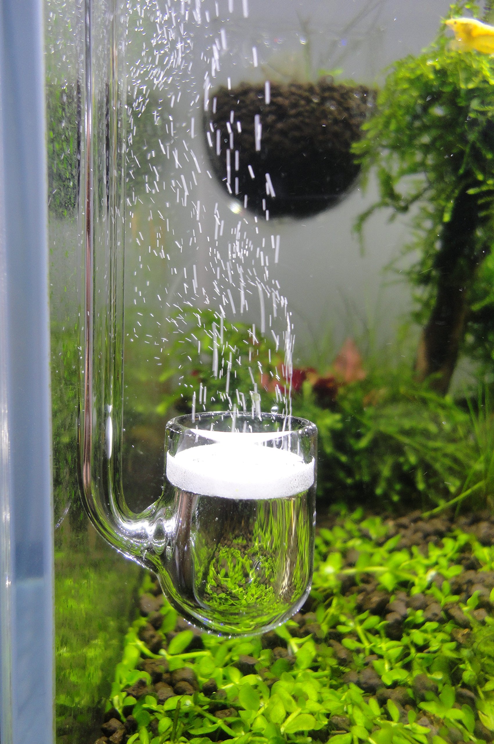 Premium U-Shape Glass CO2 Diffuser for Aquarium Plants - Enhances Plant Growth in Freshwater Fish Tanks & Aquatic Ecosystems