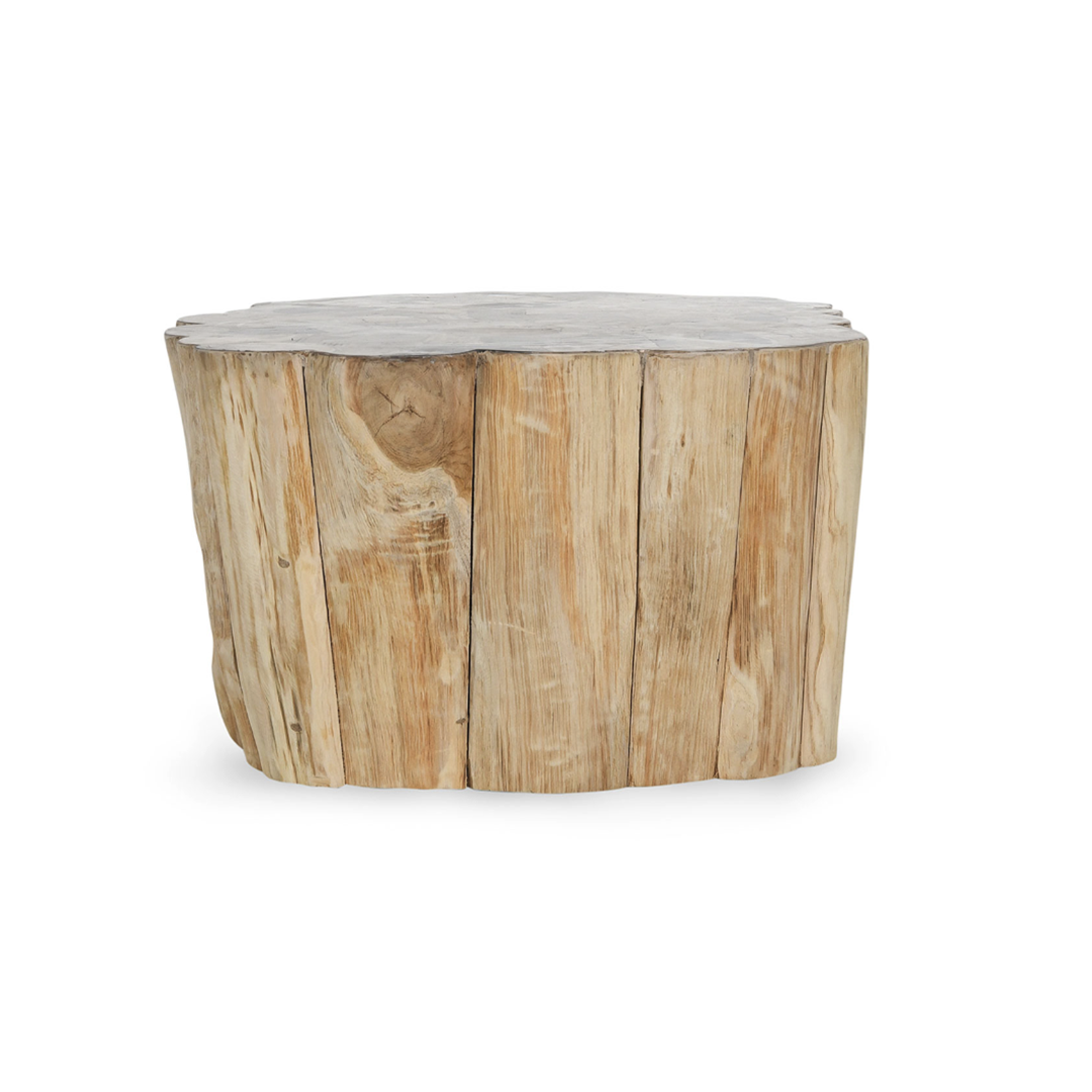 Norwest Petrified Wood Coffee Table - Natural Live Edge, Unique Rustic Home Decor for Living Room, Perfect for Farmhouse & Modern Interior Design