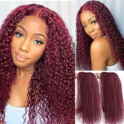 Dark Red Wine Colored Lace Wig