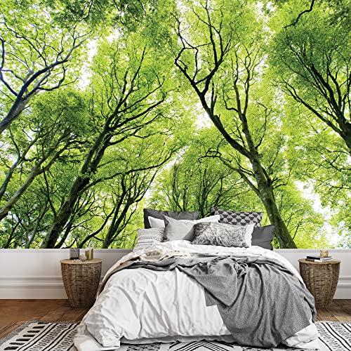 Branches of a Tree Forest