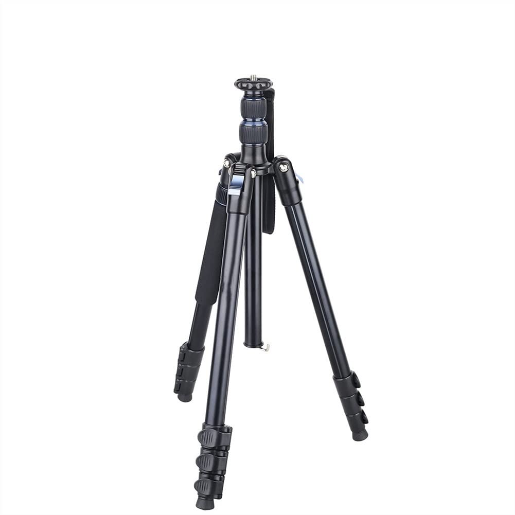 Professional RajoNN 79
