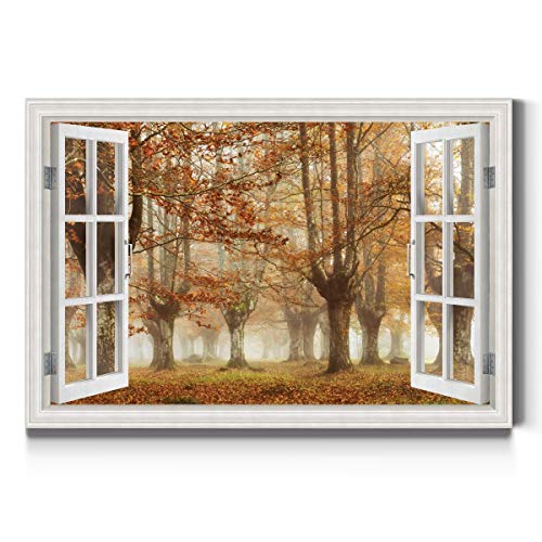 Fall Forest