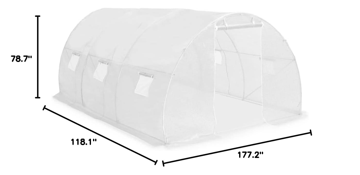 Walk-in Greenhouse 145.3ft² (177.2