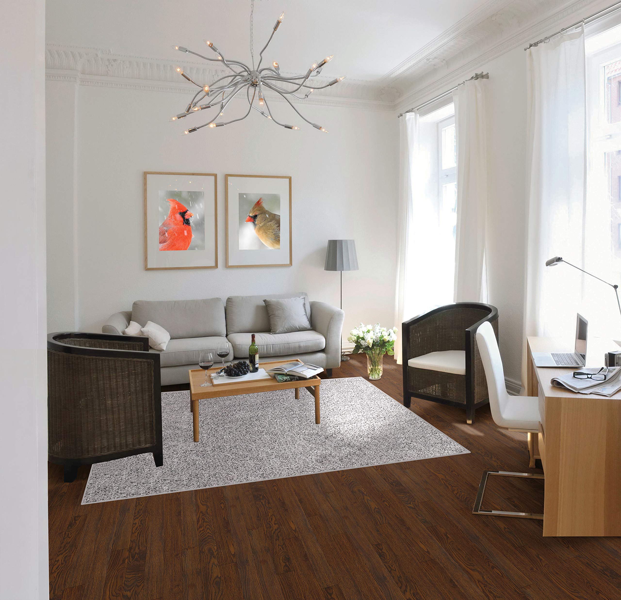 Koeckritz 5' x 8' Pewter Area Rug - Soft Modern Gray Rug for Living Room, Bedroom & Office - Stain Resistant & Non-Slip Backing