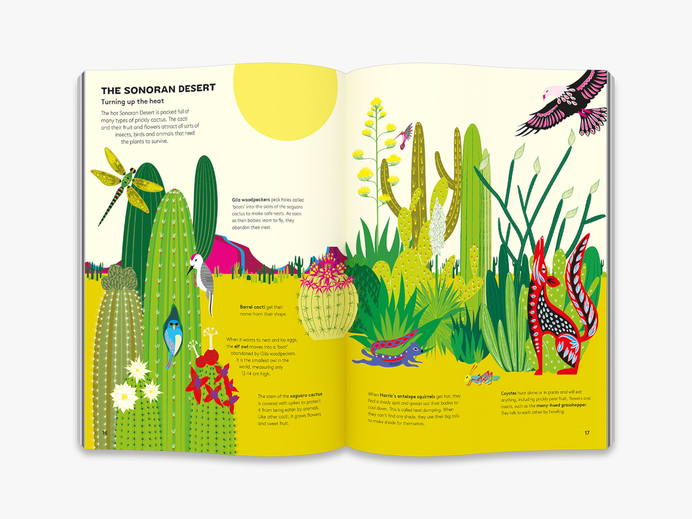 Hoot and Howl Across the Desert - Extreme Environments Book for Kids | Desert Wildlife & Survival Adventure | Perfect for Classroom Learning & Nature Exploration