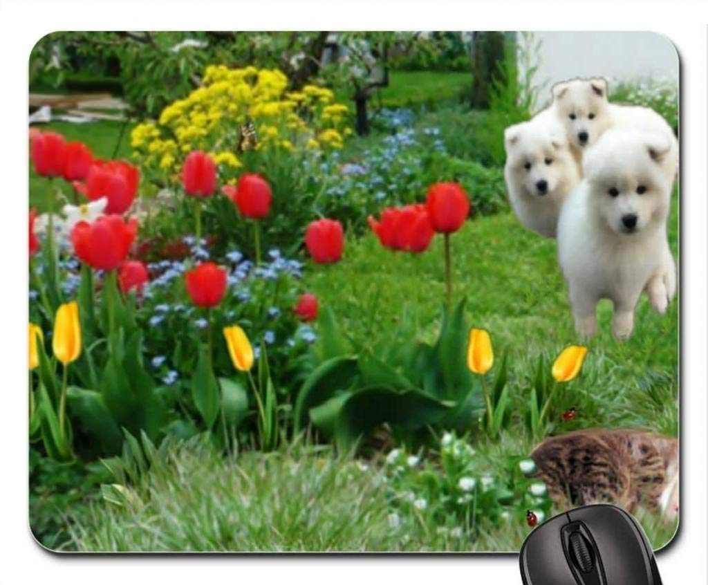 Premium Cat and Dog Mouse Pad with Sleeping Cat Design - Non-Slip Gaming Mousepad for Office, Home & Computer Use