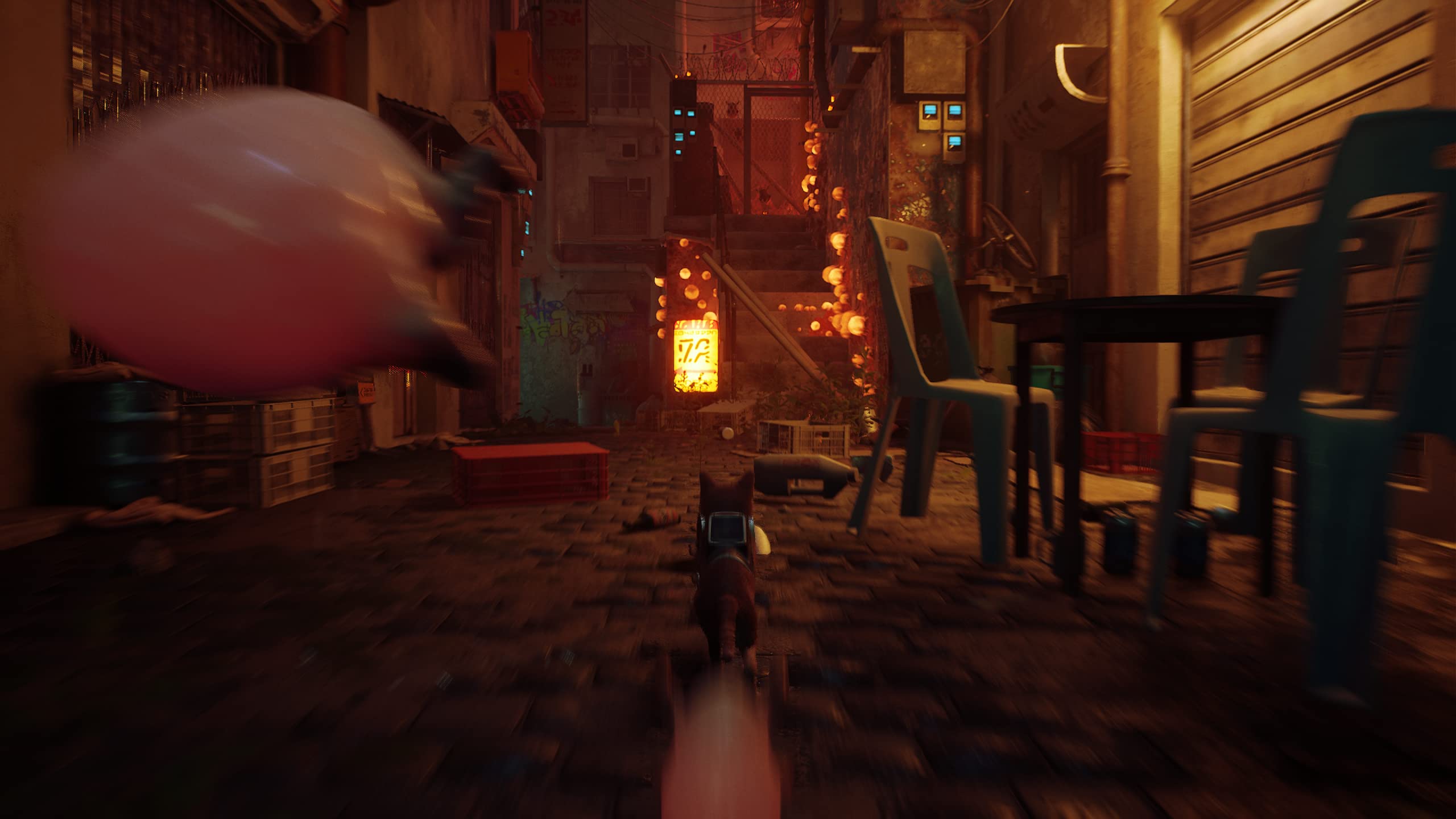 Stray - PlayStation 4 Game | Adventure Cat Simulation for PS4 | Explore Cyberpunk City as a Lost Feline | Perfect for Cat Lovers & Adventure Gamers
