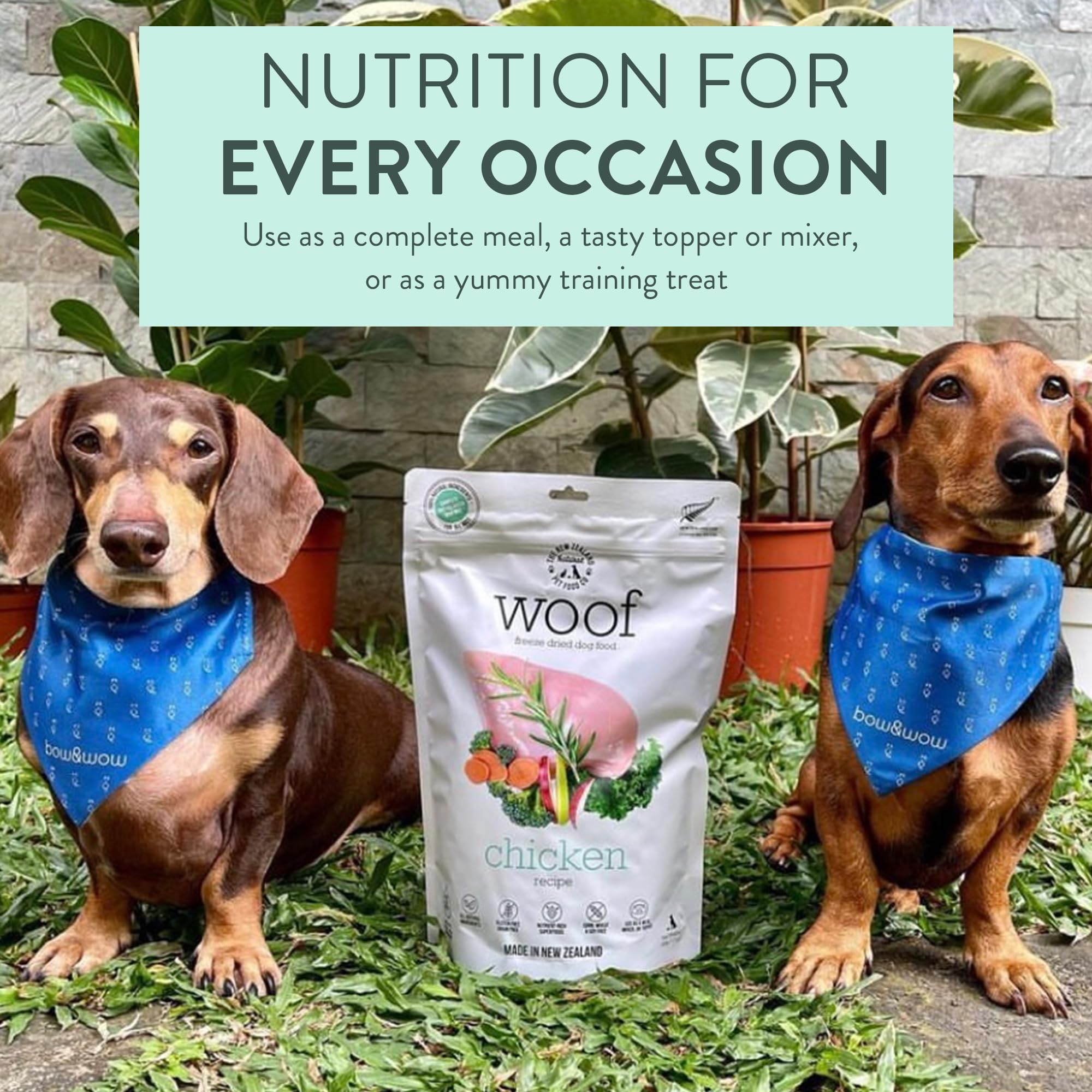 Premium Freeze Dried Dog Food - High Protein Chicken Recipe for Dogs | Grain-Free Dog Treats & Food Topper | 9.9 oz | Perfect for Training Rewards, Meal Enhancer & Travel Snacks