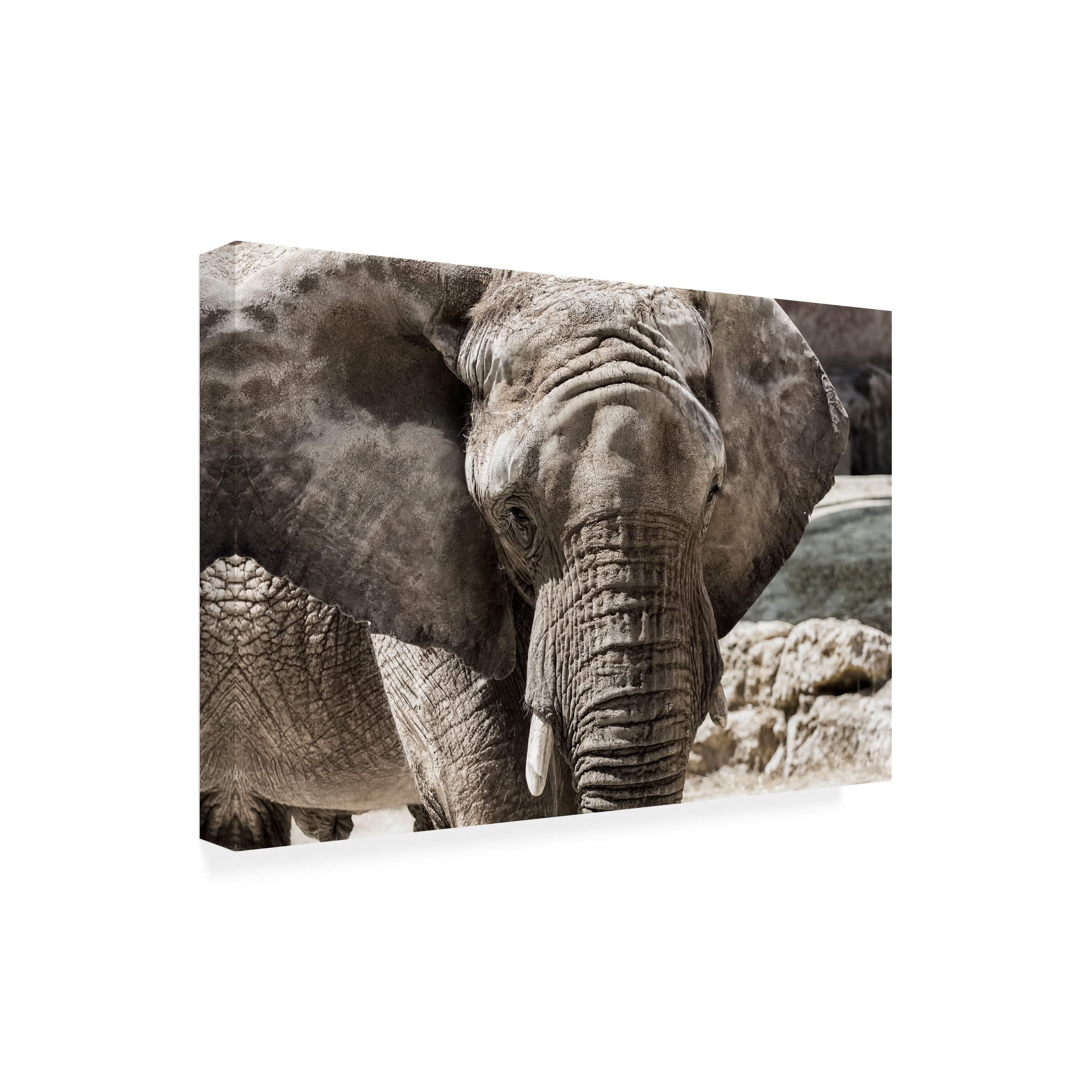 Nuno Araujo 'The Boss' Canvas Art Print - Premium Wall Decor for Living Room, Office & Bedroom - Trademark Fine Art Collection