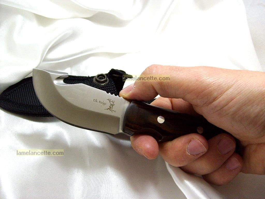 Elk Ridge ER-108 7-inch Fixed Blade Hunting Knife with Mirror Finish Gut Hook & Wood Handle - Survival Knife for Camping, Outdoor Adventures, Bushcraft & Tactical Use - Includes Nylon Sheath